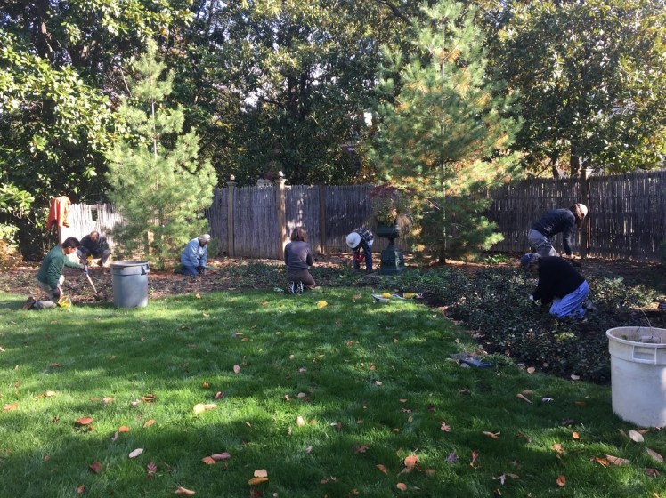 2016_Bulb Planting_006