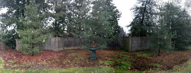 PANO_20181201_151706.vr