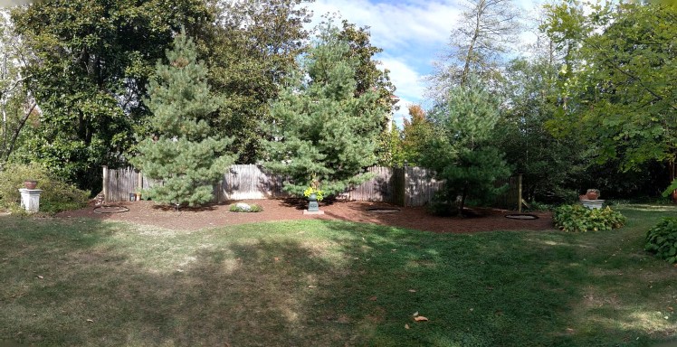 PANO_20190923_164335.vr