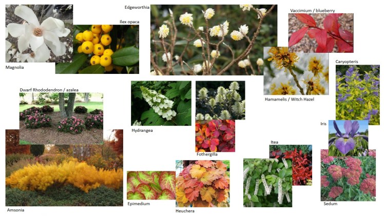 concept images plan 2020